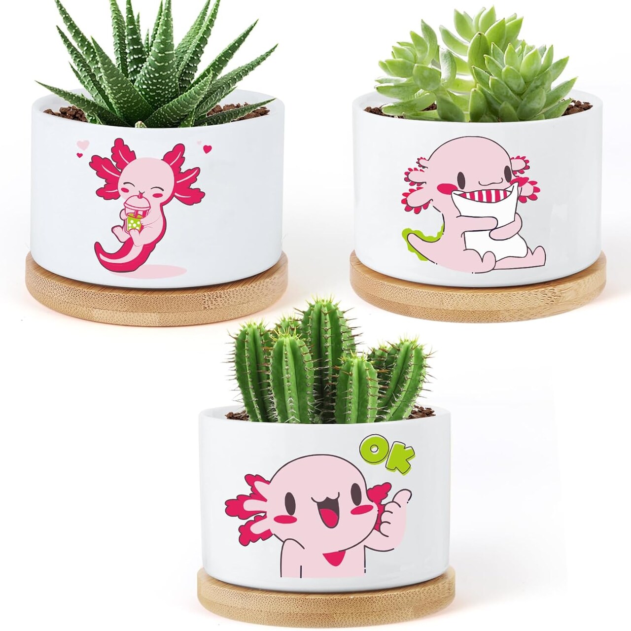 3PCS Funny Printed Ceramic Plant Pots – Succulent Planters with Drainage & Saucers, Gift for Women